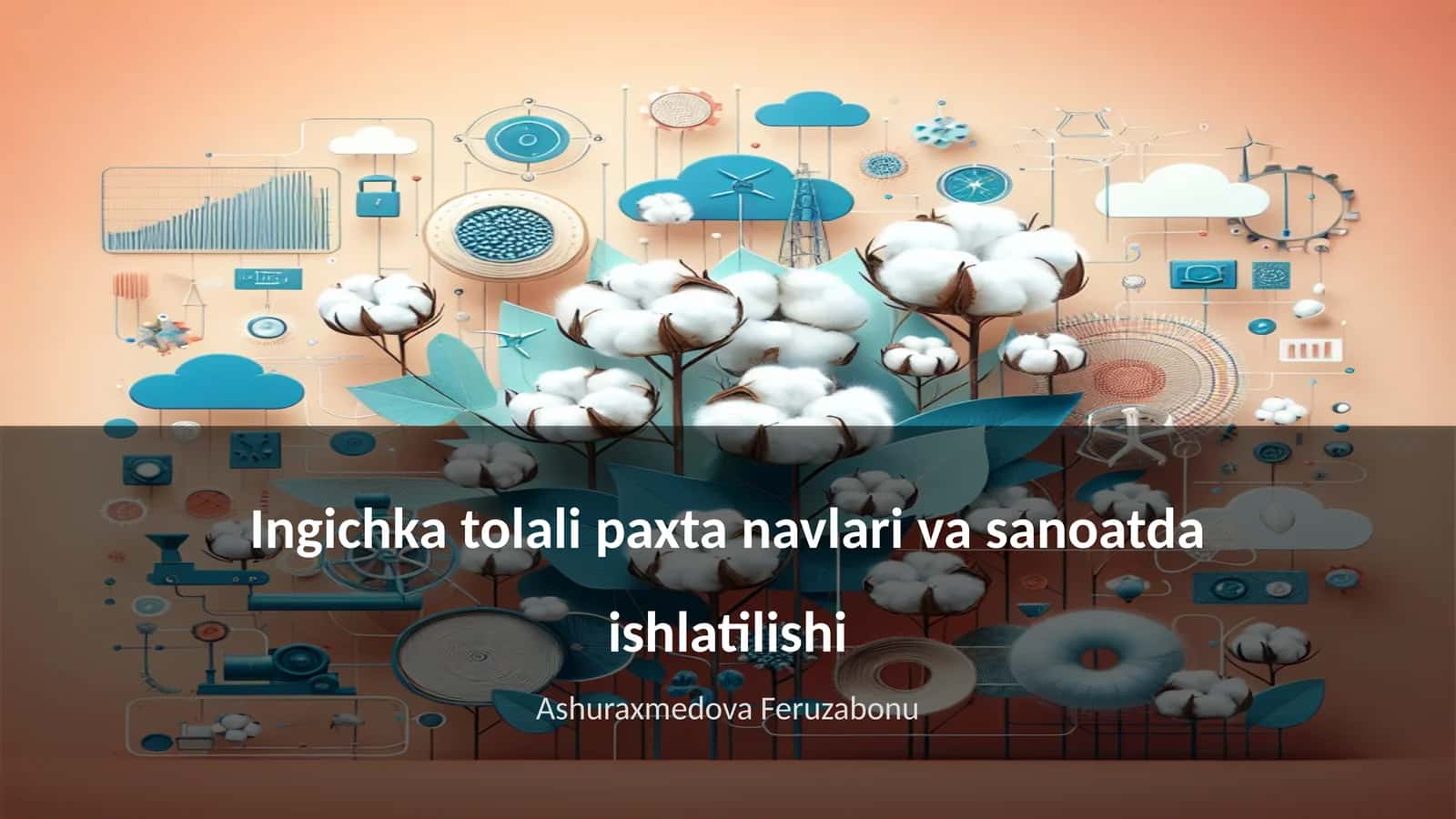 Ingichka tolali paxta navlari va sanoatda ishlatilishi 1