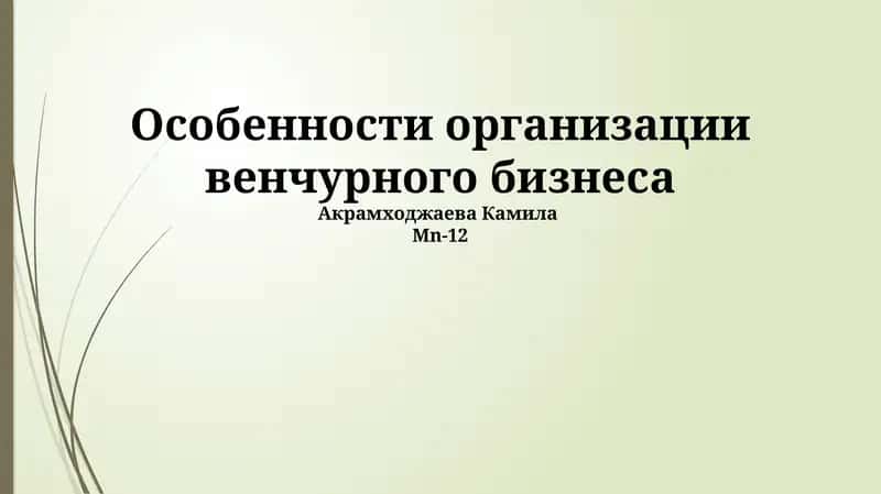 Особенности организации венчурного бизнеса 1