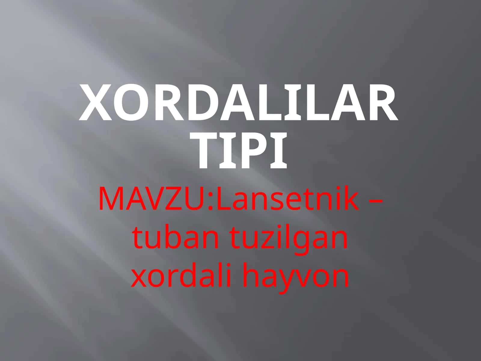 Xordalilartipi 1