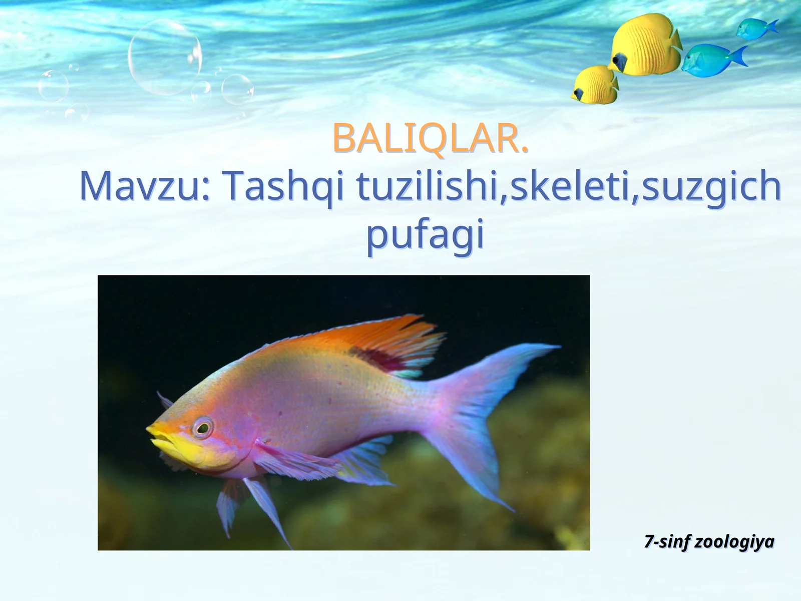 BALIQLAR 1