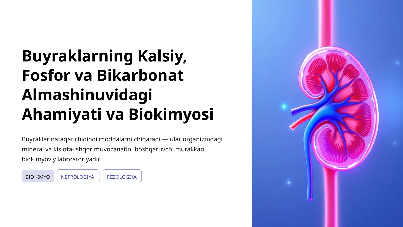 Buyraklarning Kalsiy, Fosfor va Bikarbonat Almashinuvidagi Ahamiyati va Biokimyosi 1
