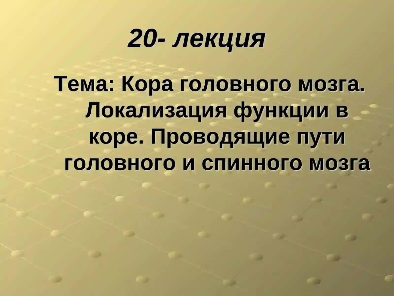 Лекция 20: Кора головного мозга 2