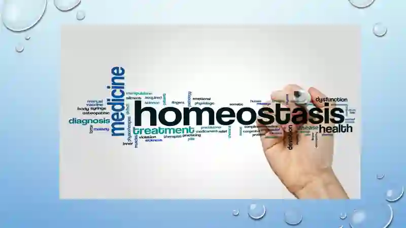 GAMEOSTAZ 2