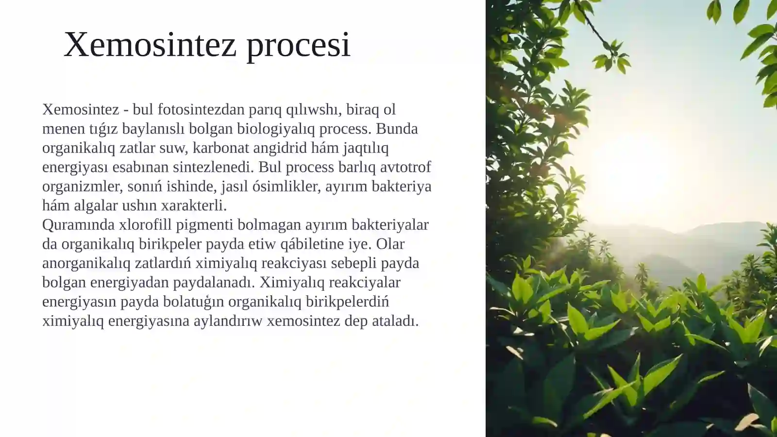 Xemosintez procesi 2
