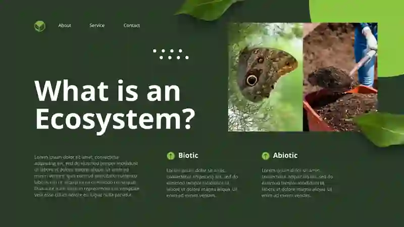 ECOSYSTEMS 2