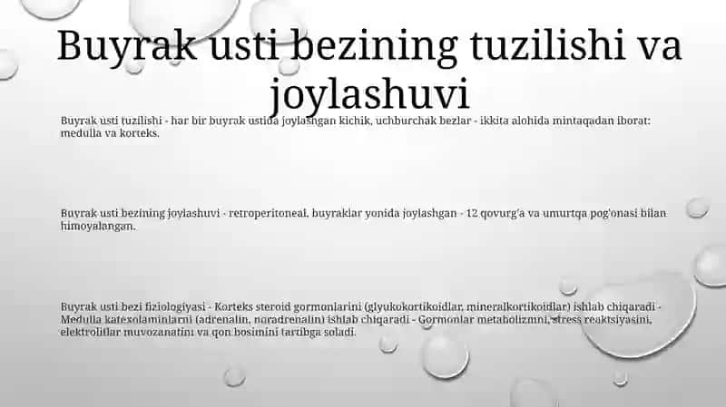 Buyrakusti Bezi Fiziologiyasi 2