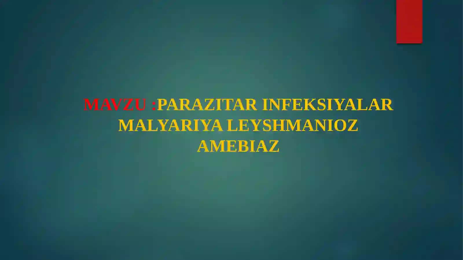TERMIZ FILIALIDAVOLASH ISHI 2