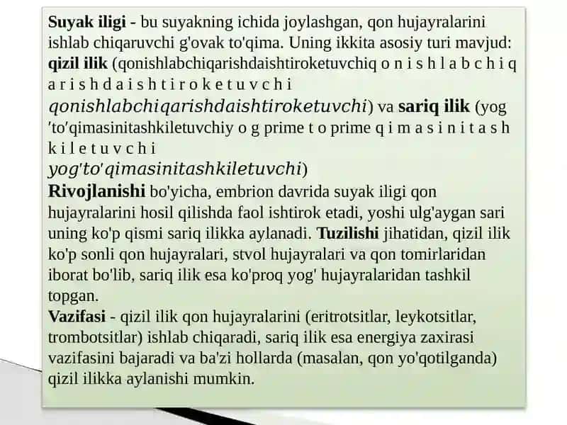 Suyak iligi rivojlanishi, tuzilishi, vazifasi. Qizil ilik, sariq ilik. 2