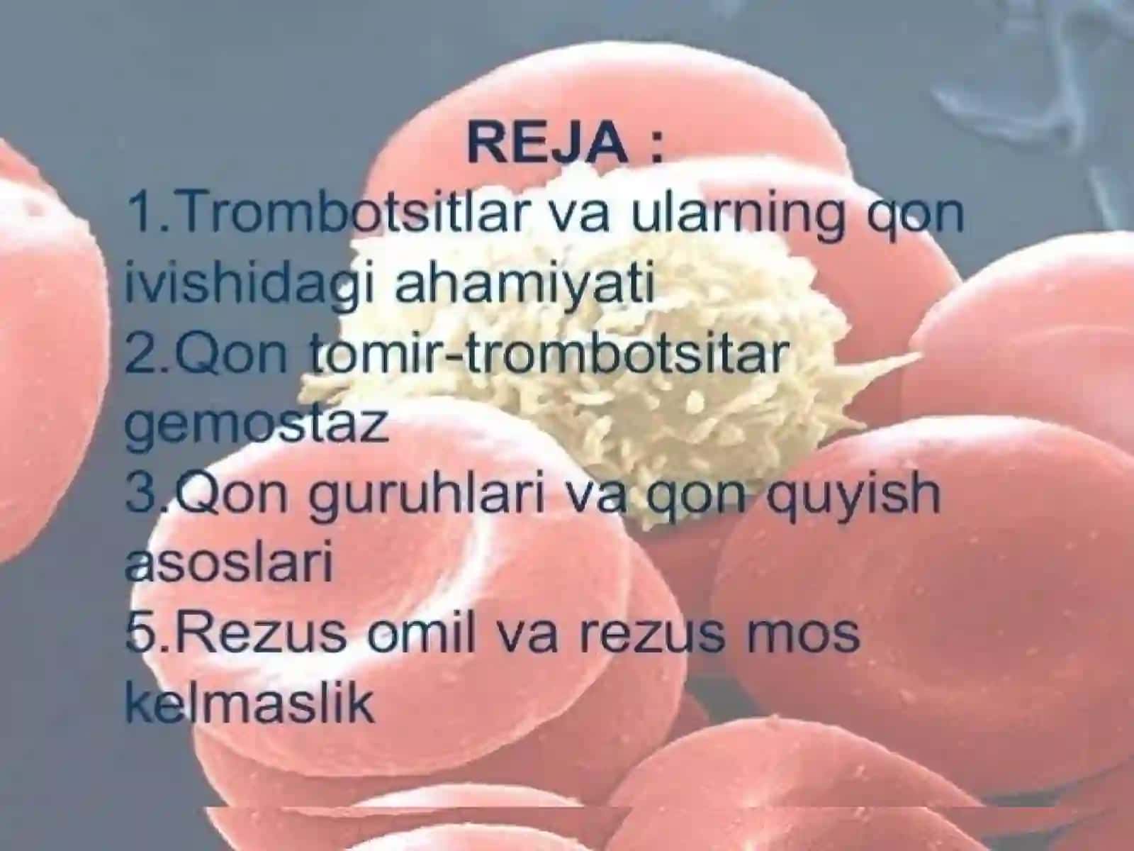 Тромбоциты 2