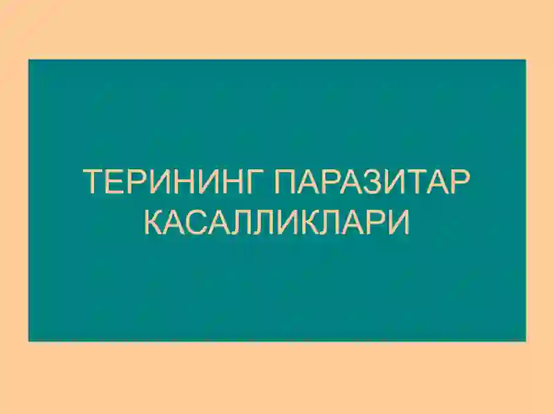 Терининг паразитар касалликлари 2