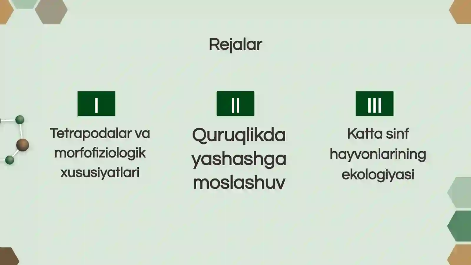 Tetrapodalar va morfofiziologik xususiyatlari 2