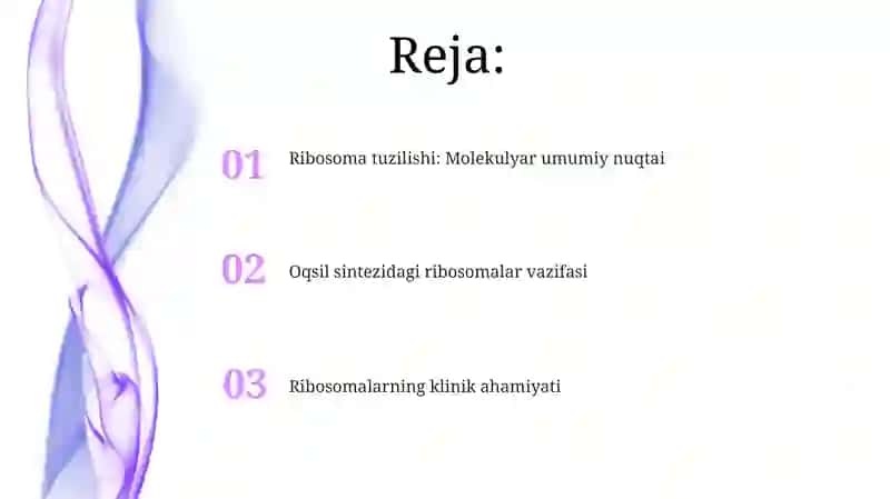 Ribosomalar, ularning tuzilishi, funktsional holatining ahamiyati 2