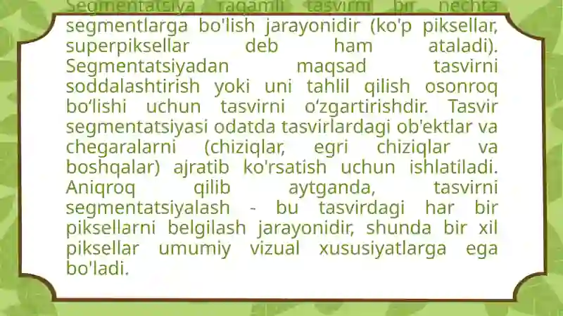 Rasmlar segmentatsiyalash vazifalari 2