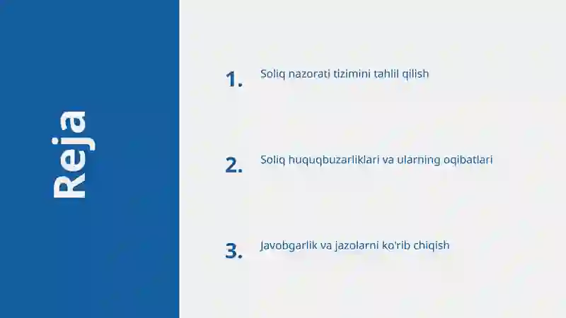 Soliq nazorati tizimi 2