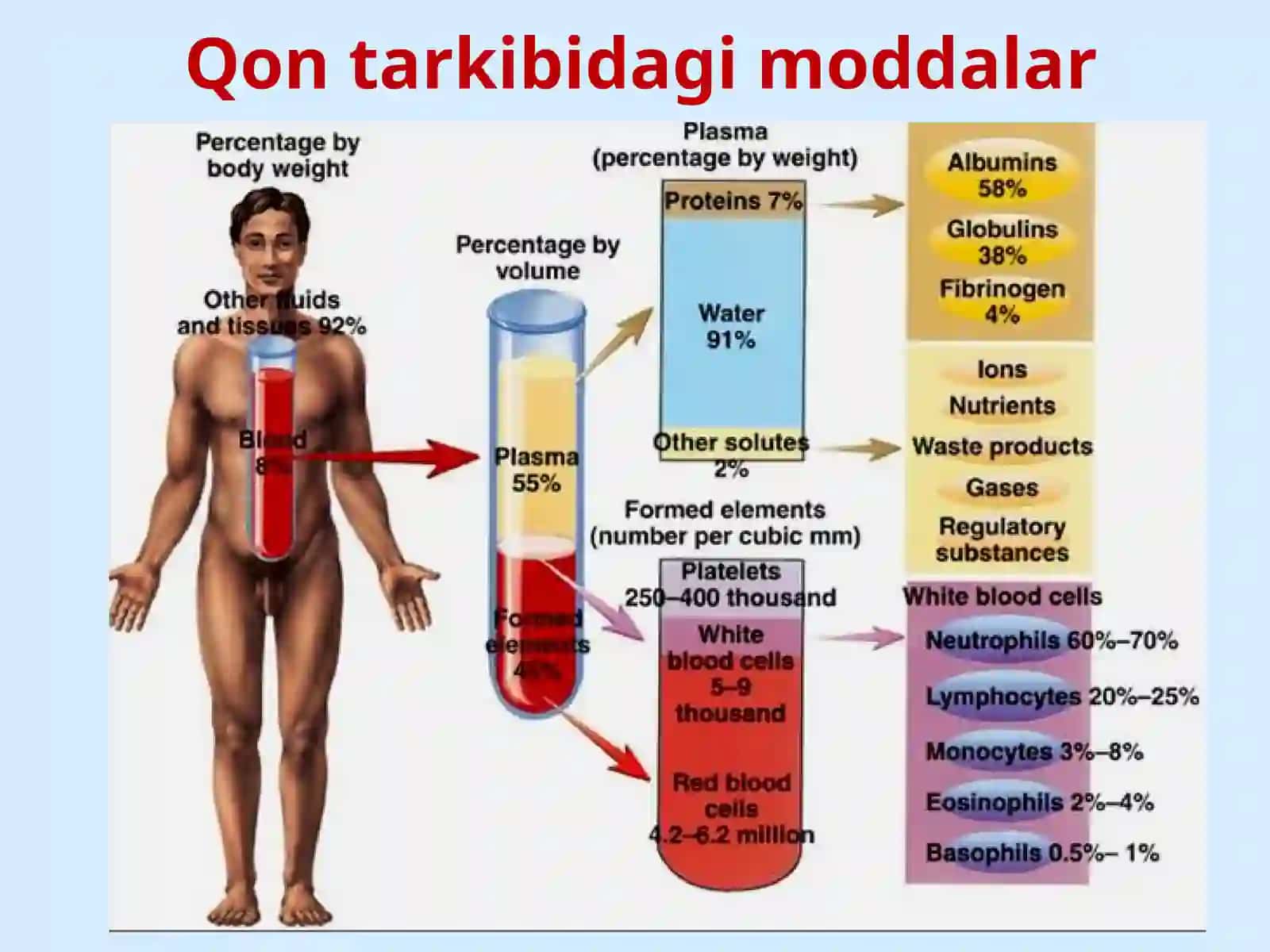 QON BIOKIMYOSI 2