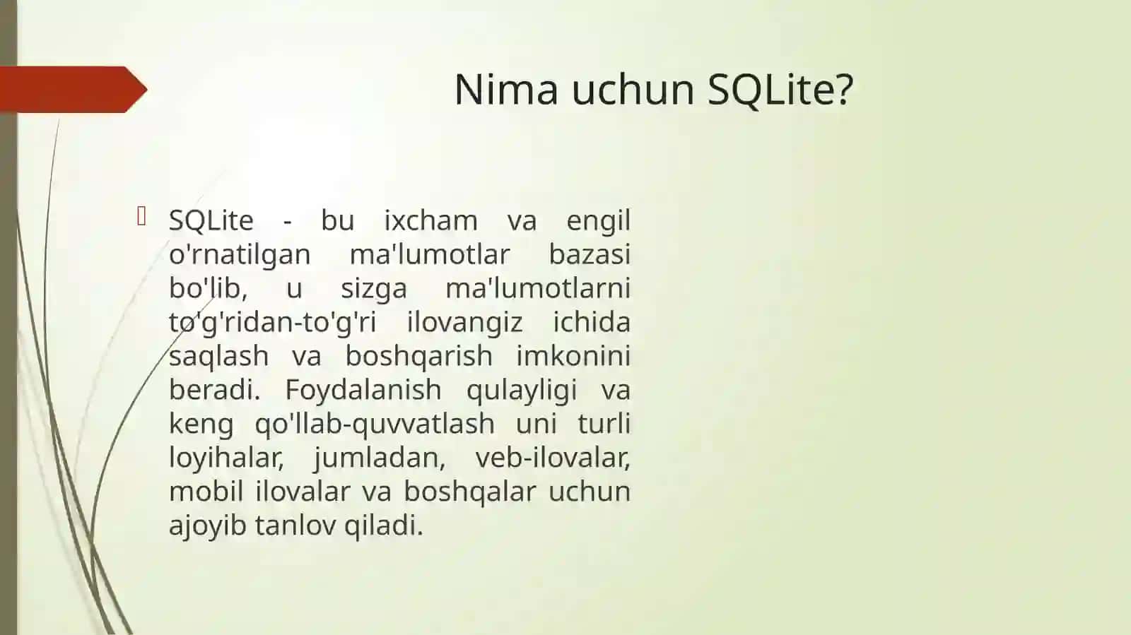 Python dasturlash tilida ma’lumotlar bazasi bilan ishlash 2