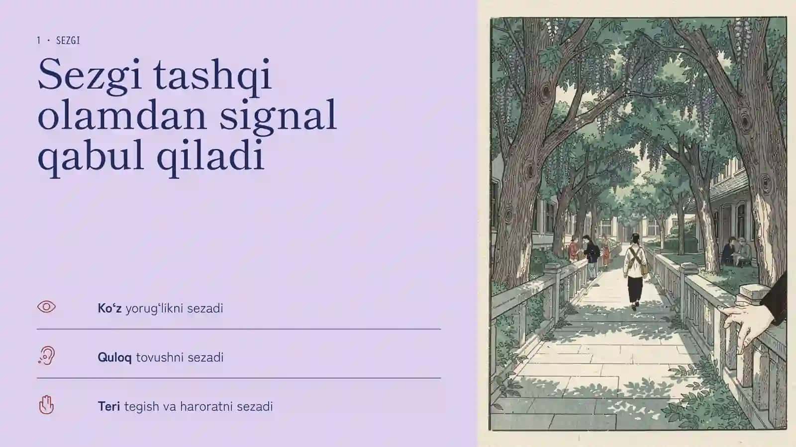 KOGNITIV JARAYONLAR 2