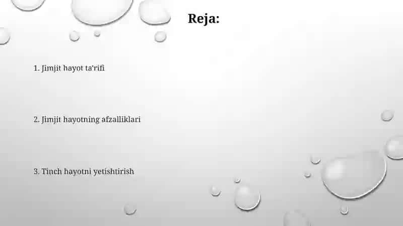 Jimjit hayot 2