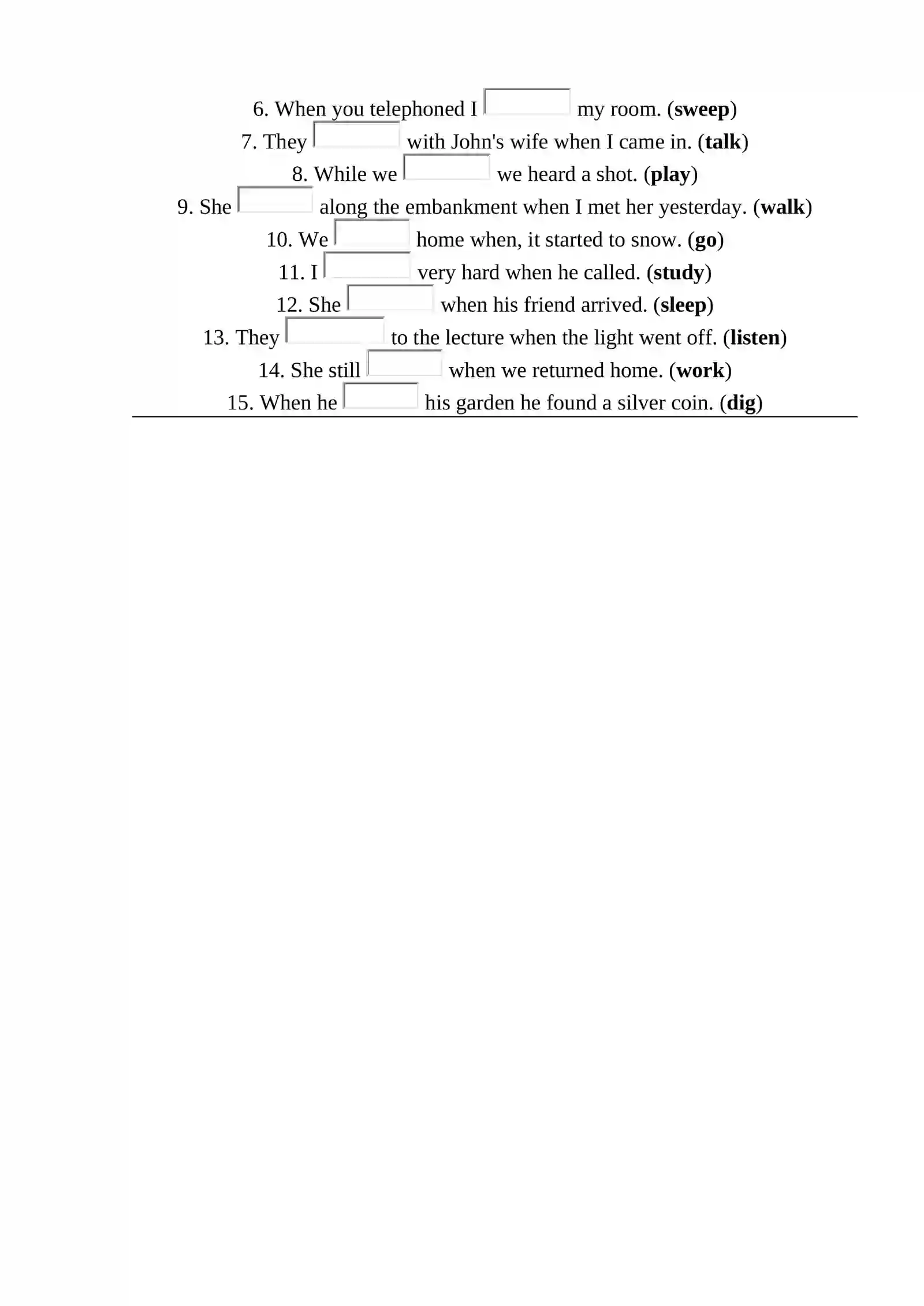 Past Continuous exercise 2