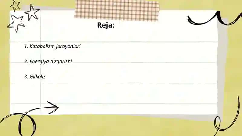 Katabolizm jarayonlari 2