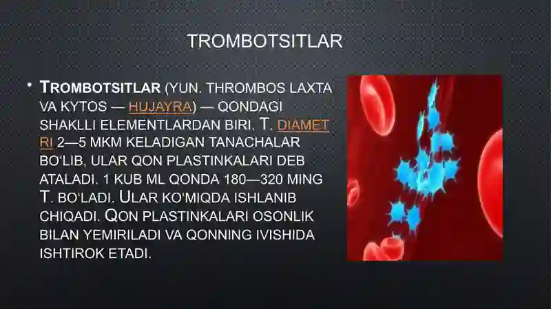 Trombotsitlar, Fibrinoliz 2