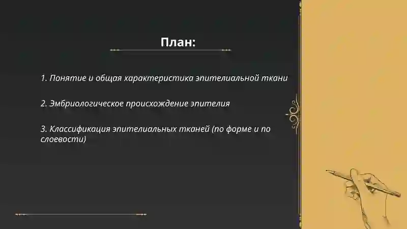 Эпителиальные ткани 2
