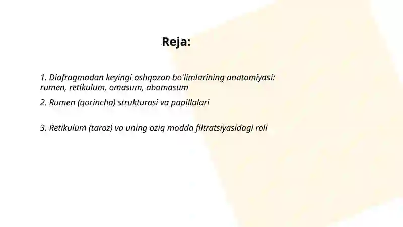 Kavsh qaytaruvchi hayvonlarning diafragmadan keyingi ovqat hazm qilish sistemasi 2
