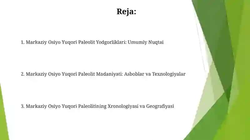 Markaziy Osiyoning yuqori paleolit davri yodgorliklari 2