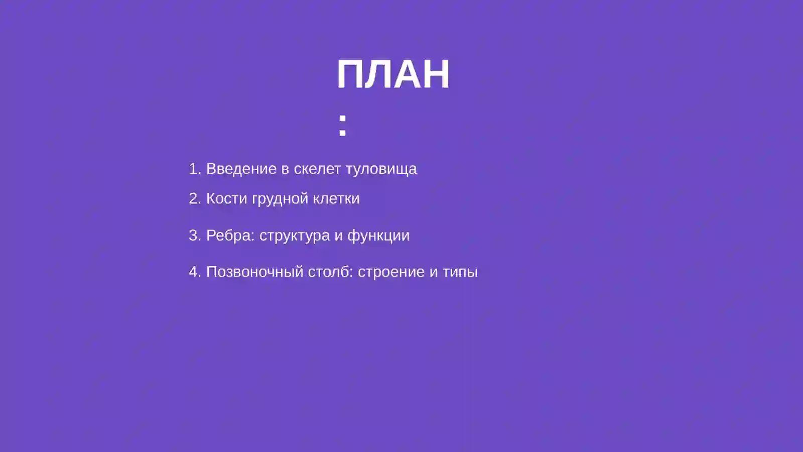 Скелет туловища 2