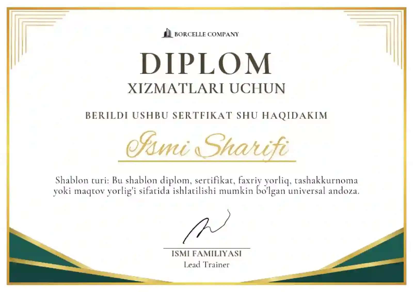 DIPLOM 2