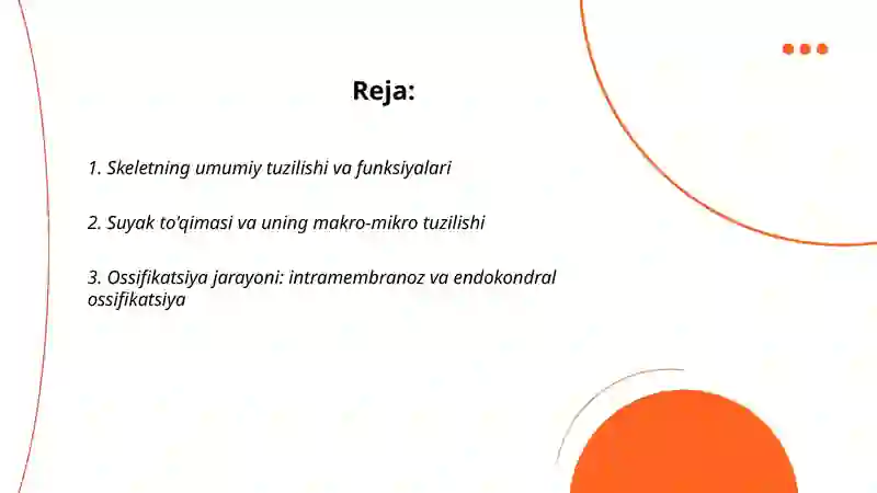 Skelet va boylamlar 2