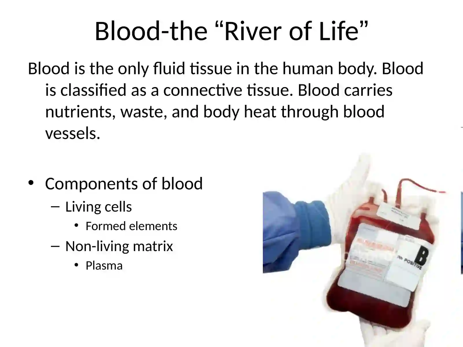 Blood Composition 2