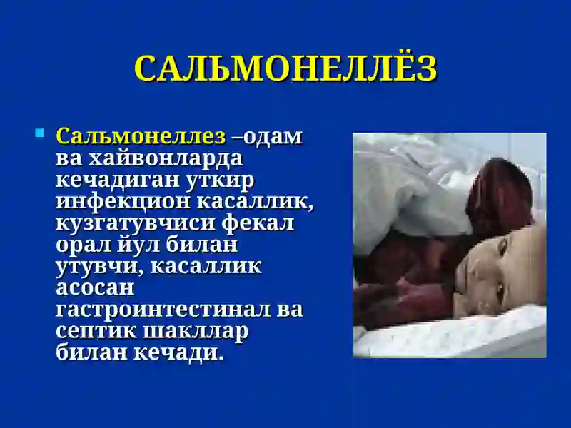 Сальмонеллез 2