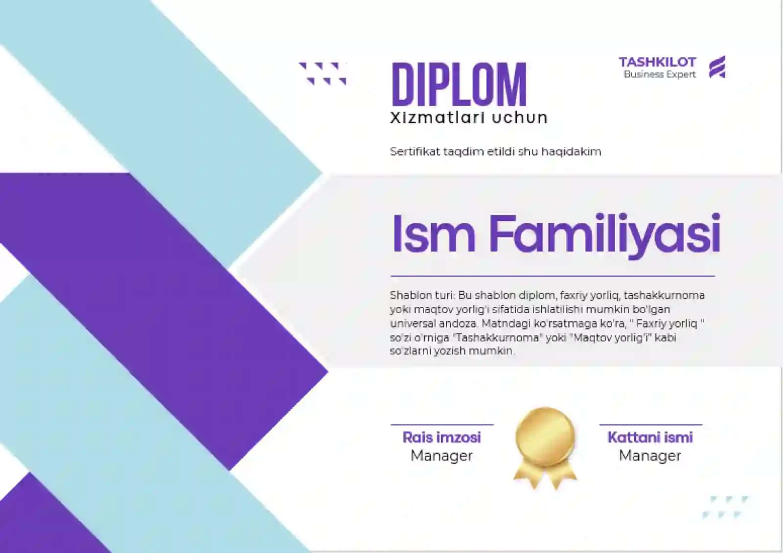 DIPLOM 2