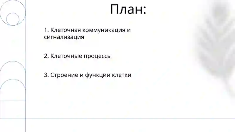 Клетка 2