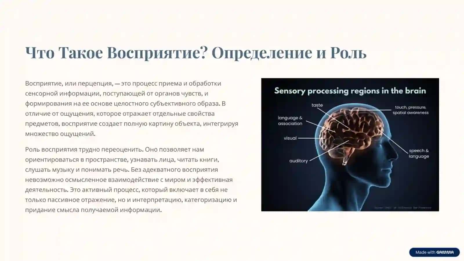 Основные Качества и Виды Восприятия 2