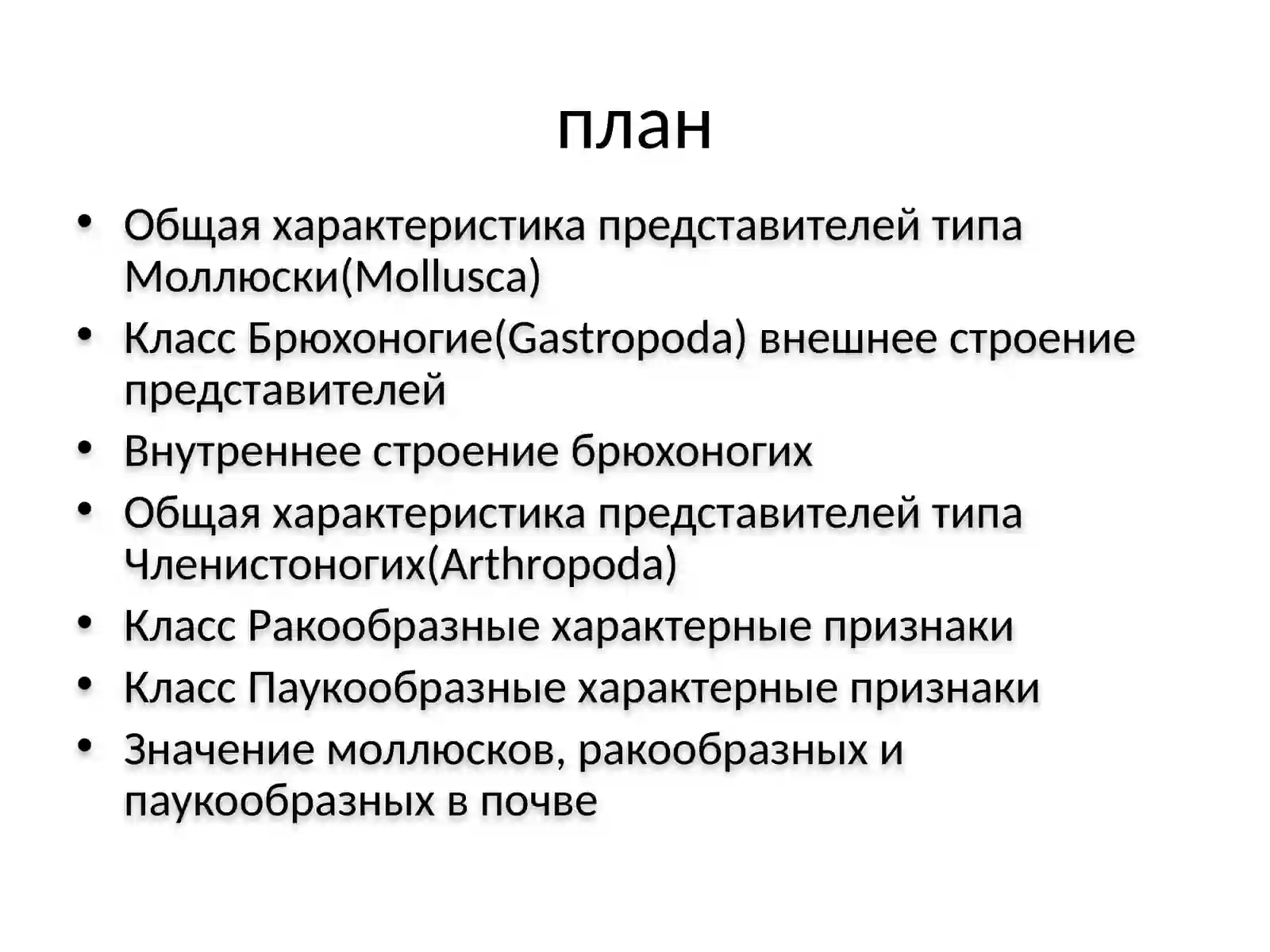 Моллюски и Членистоногие 2