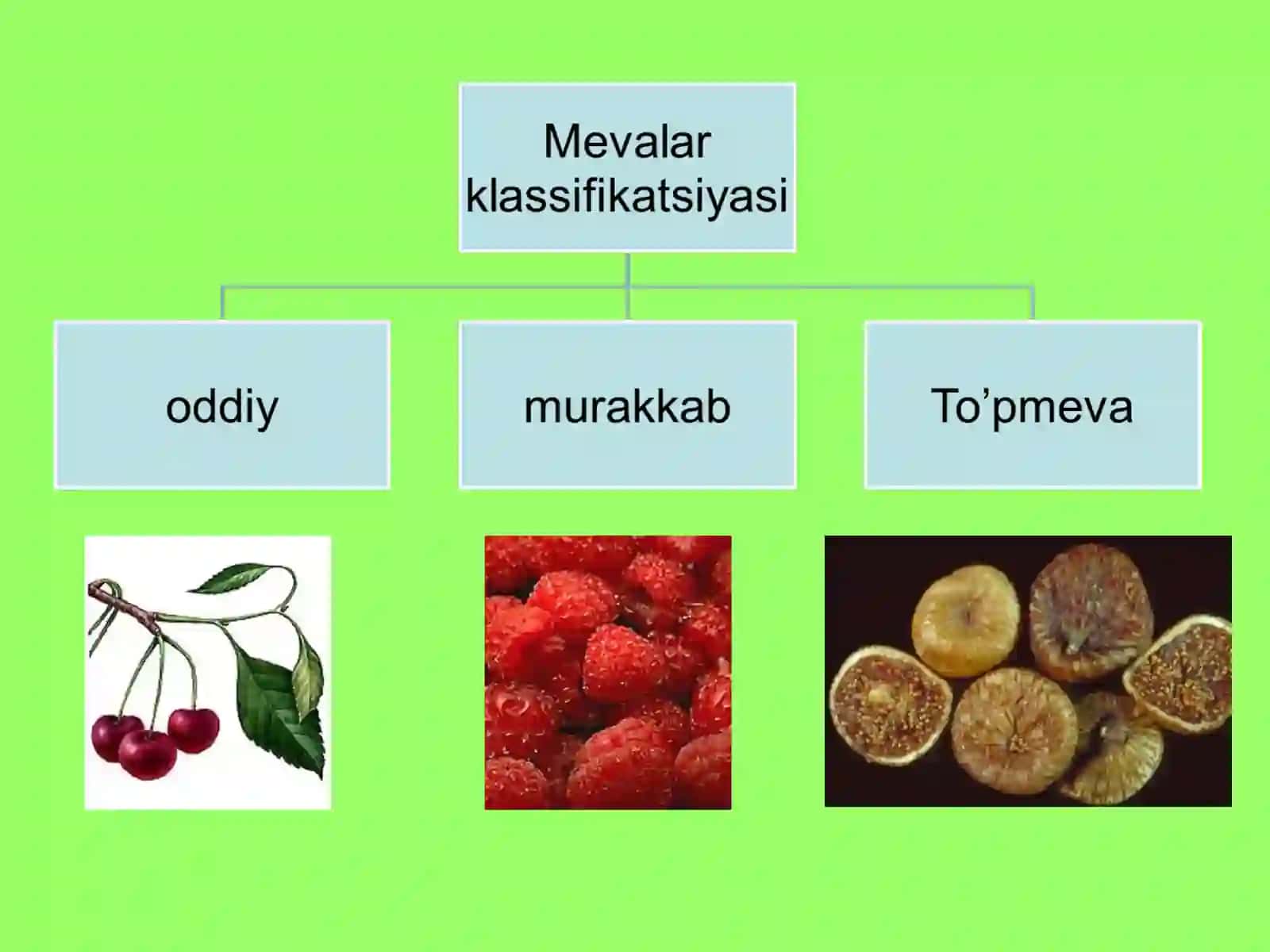 Meva va uning xillari bilan tanishish 2