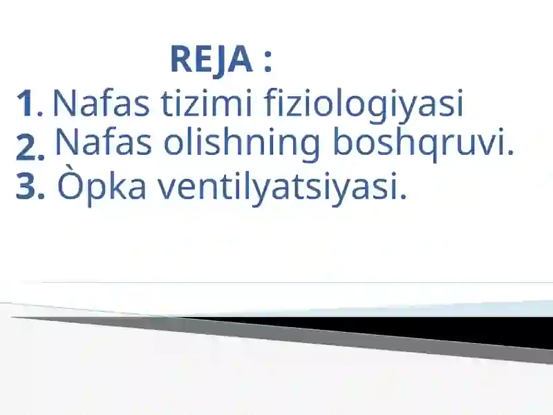 Nafas olish tizimi fiziologiyasi. 2