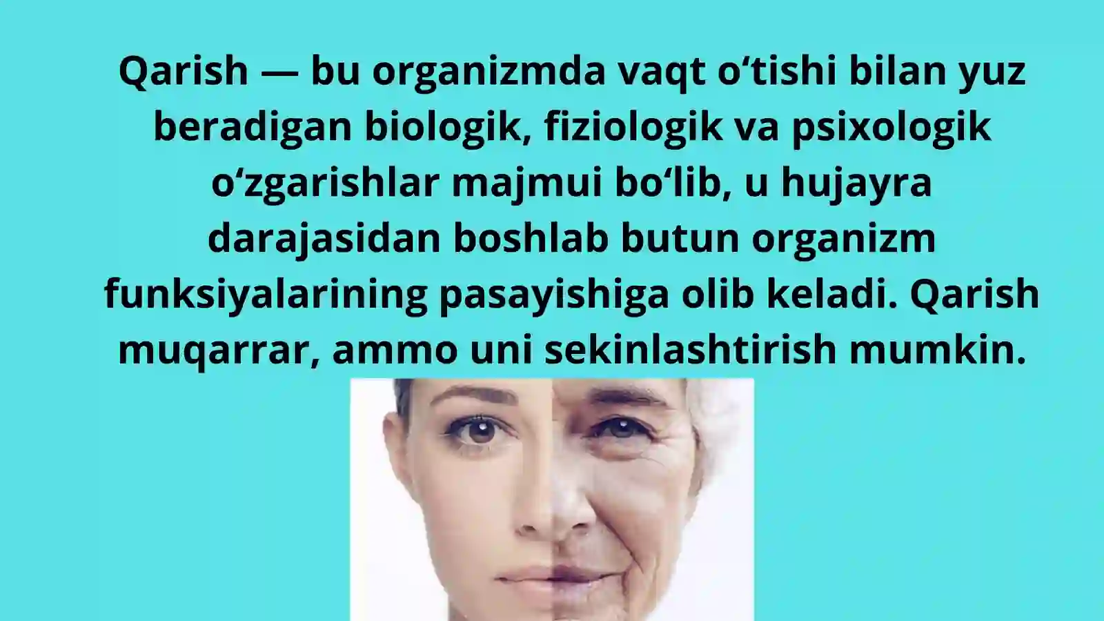 Bkp 2