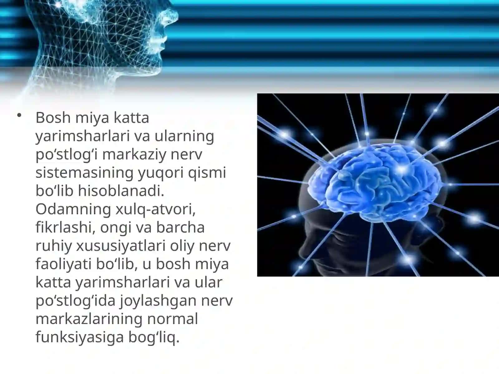 Shartsizvashartli reflekslar 2