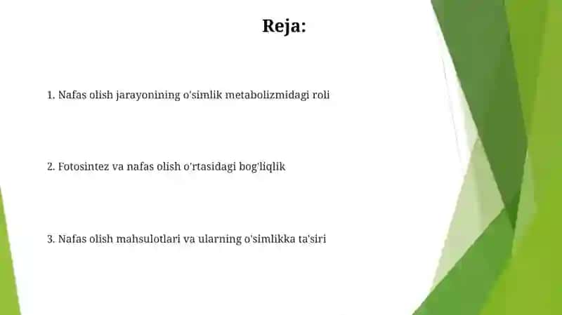 Nafas olish jarayonining oʻsimlik metabolizmidagi ôrni 2