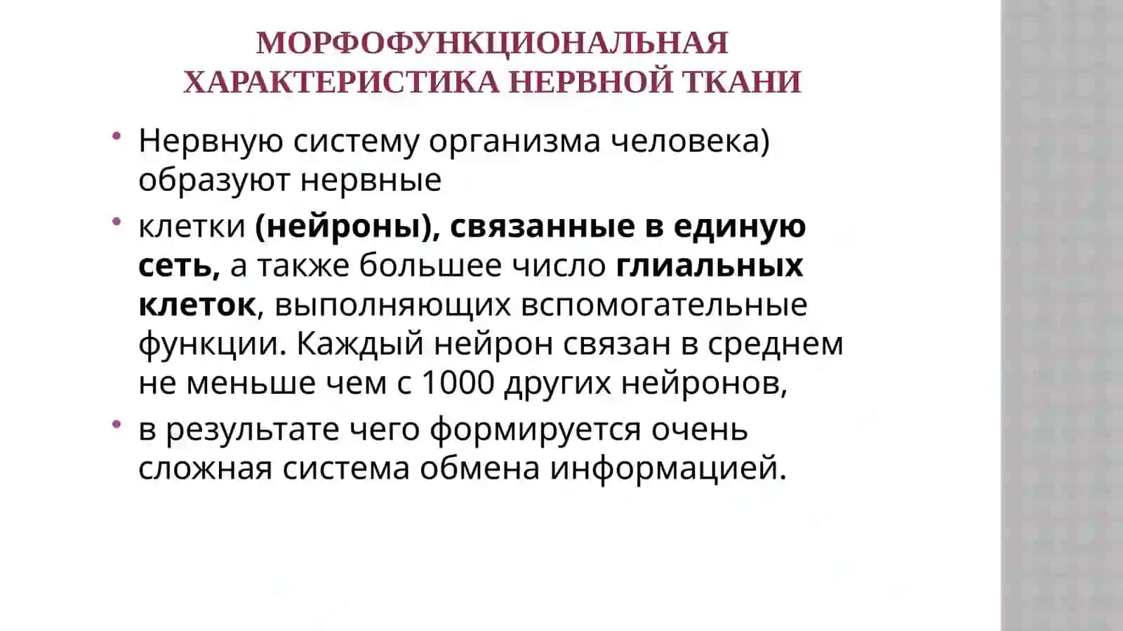 Нервная ткань 2