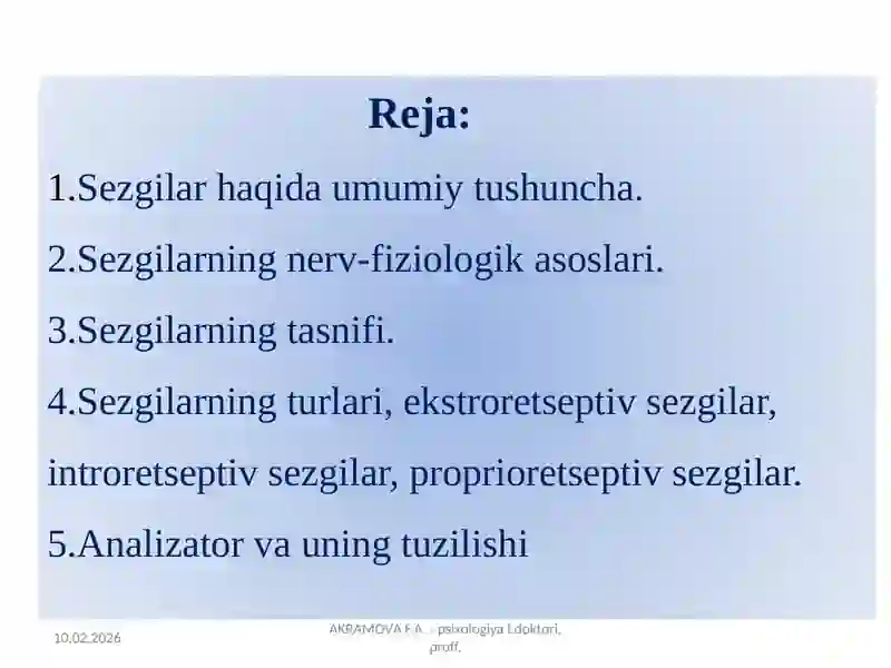 Sezgi 2