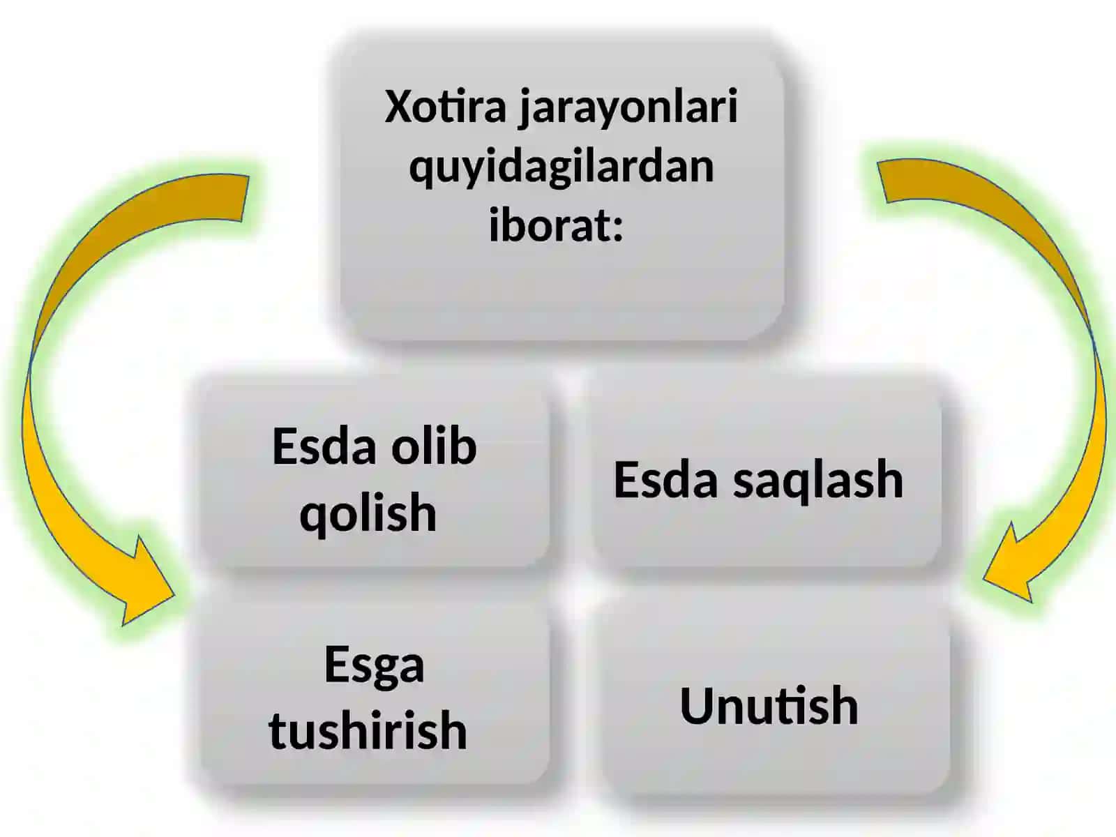 Xotira va uning turli kasalliklarda buzilishi. 2
