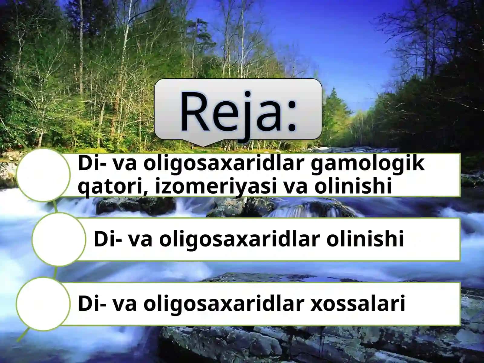 Di-va  oligosaxaridlar 2