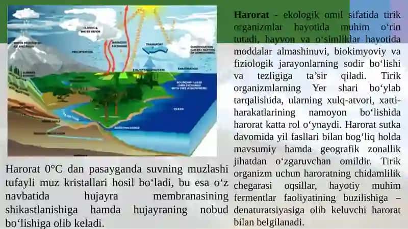 MUHIT VA EKOLOGIK OMILLAR. EKOLOGIYA VA INSON SOG’LIGI 2