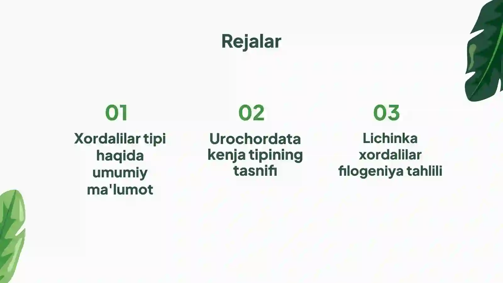 Xordalilar tipi - Chordata 2