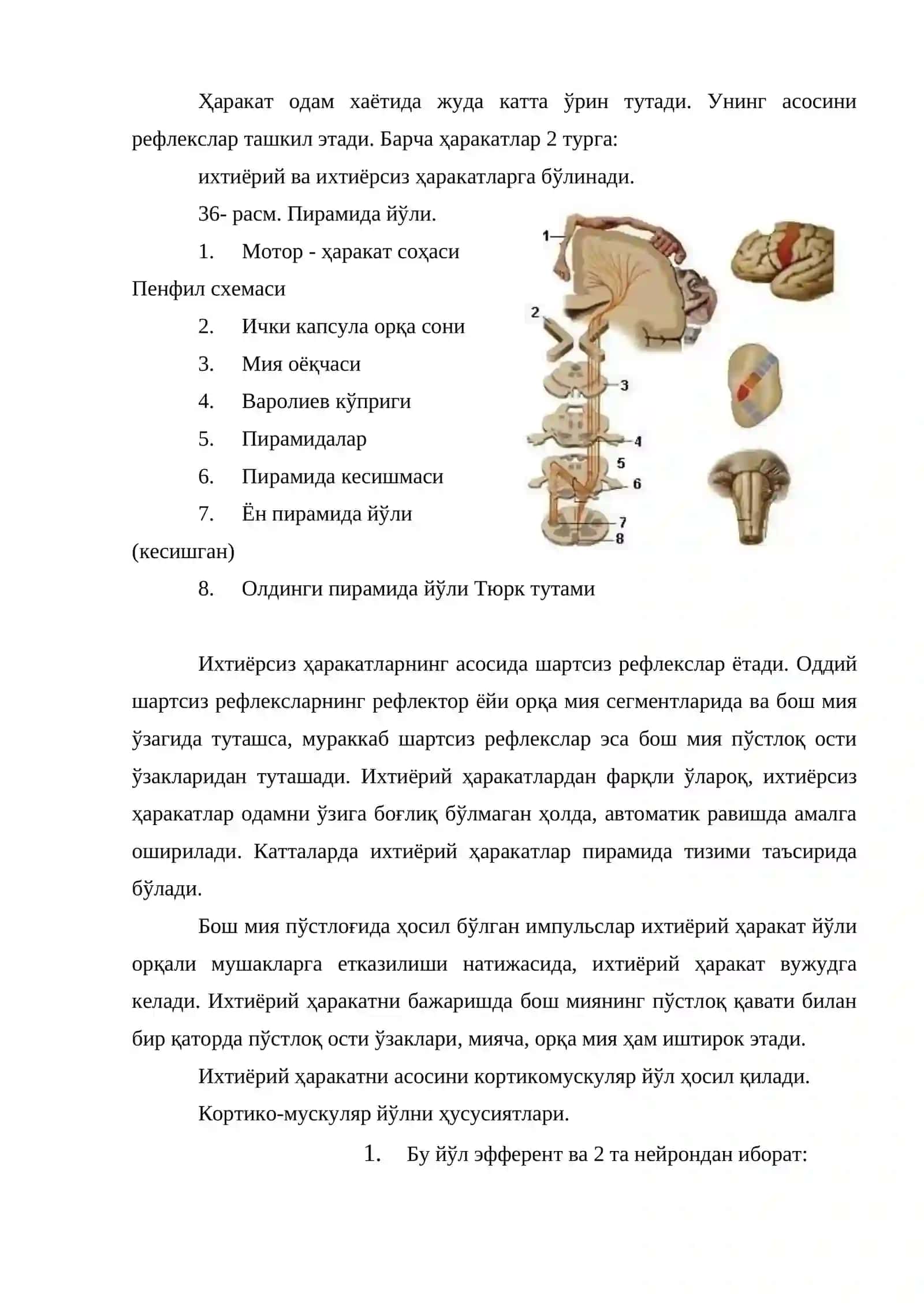 Харакат 2
