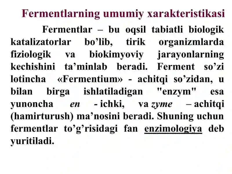 Fermentlar 2
